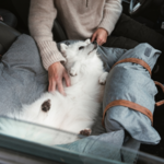 Ollipet Karma Deluxe Autokurv 2i1